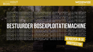 Beroepen in de houtsector #11 bestuurder bosexploitatiemachine