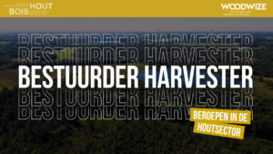 Beroepen in de houtsector #8 bestuurder harvester